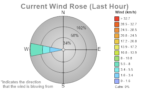 Last hour wind rose