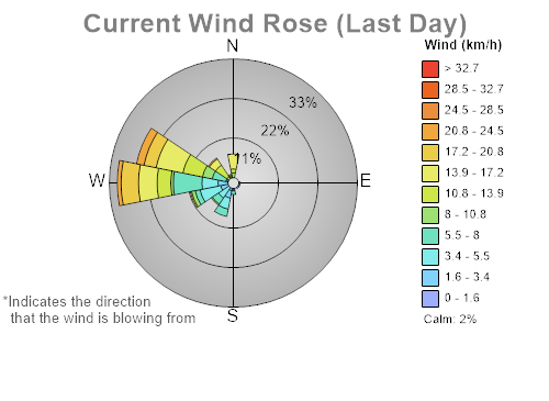 Last day wind rose